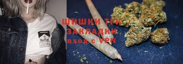 индика Армянск