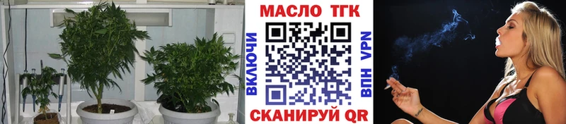 ТГК жижа  Стародуб 