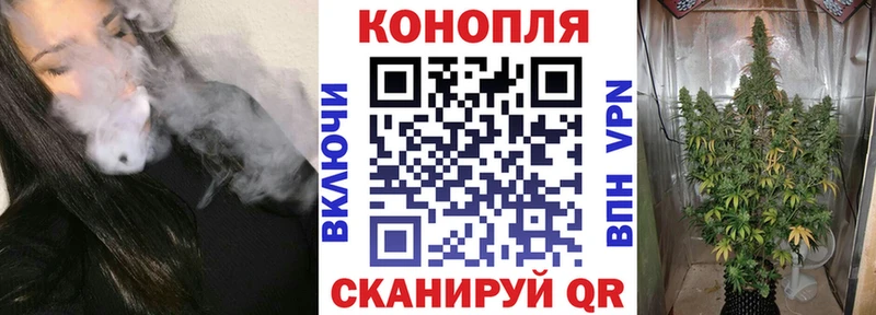 МАРИХУАНА White Widow  где продают наркотики  блэк спрут ссылка  Стародуб 
